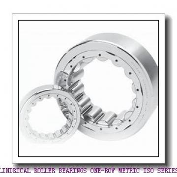 ISO NU1060MA CYLINDRICAL ROLLER BEARINGS ONE-ROW METRIC ISO SERIES