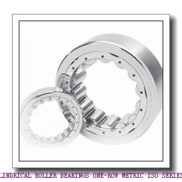 ISO NU1060MA CYLINDRICAL ROLLER BEARINGS ONE-ROW METRIC ISO SERIES #1 image